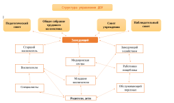 Структура образовательной организации